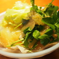 金舌 白金 - 
