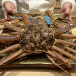 東茶屋 なかむら - 石川県産　加能がに