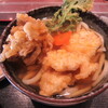 多摩うどん ぽんぽこ - 料理写真:鶏天うどん・400g