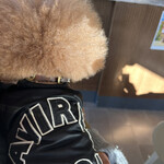 PARKER COFFEE STAND - 哀愁の後ろ姿