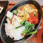 Kandeo Hoteruzu Nara Kashihara - 出汁カレー