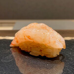 海舟 - ガスエビ