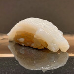 海舟 - アオリイカ