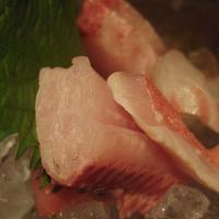 銀平 北新地店 - 