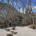 Ashiyagawa Muragen - お庭からの眺め