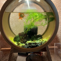 お料理 とみやま - 