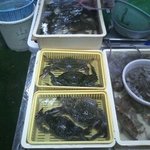 五味の市 - 購入したワタリガニ