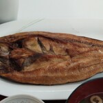 四日市ヒモノ食堂 - カマスのひもの