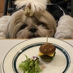 Milia burger - ワンちゃん用バーガー