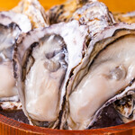 Sakoshi oysters