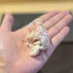 パルコ フィエラ - 