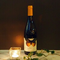Roc des Anges Cotes Catalanes Effet Papillon