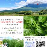 ビフトロ バイ ラ コクシネル - 