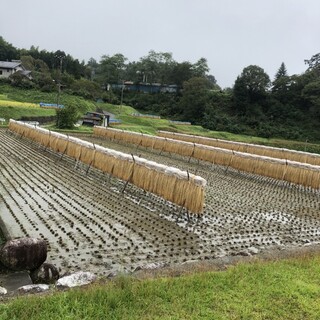 【长野县】 请尽享店主的出身地长野的大自然的恩惠。