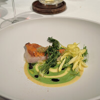 ジョンティ アッシュ - 