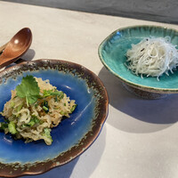 CINA New Modern Chinese - 