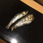 鮨 美幸 - 鰯の干物