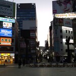 ふじ - 2月28日の朝