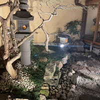 京都ダイニング正義 - 