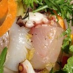 ラ スフォリーナ - サラダ内容　ヤリイカ、シマアジ、たこ、ルッコラセルバチコ