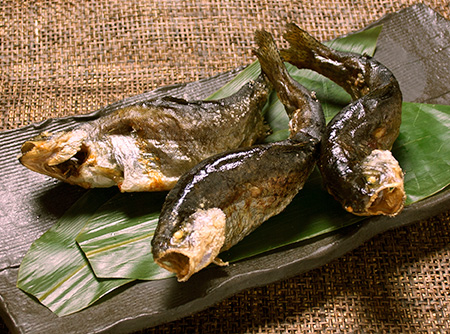 炉とマタギ - 川鱼の一本焼き.原始焼きでじっくりと焼き上げます.