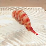 鮨 なかや - 車海老、半生