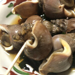 Maruyoshi - 磯つぶ貝煮