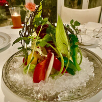 カーザ ヴィニタリア - 