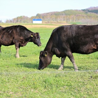 鹿児島県産【黒毛和牛】をはじめ産地の新鮮食材のみ使用