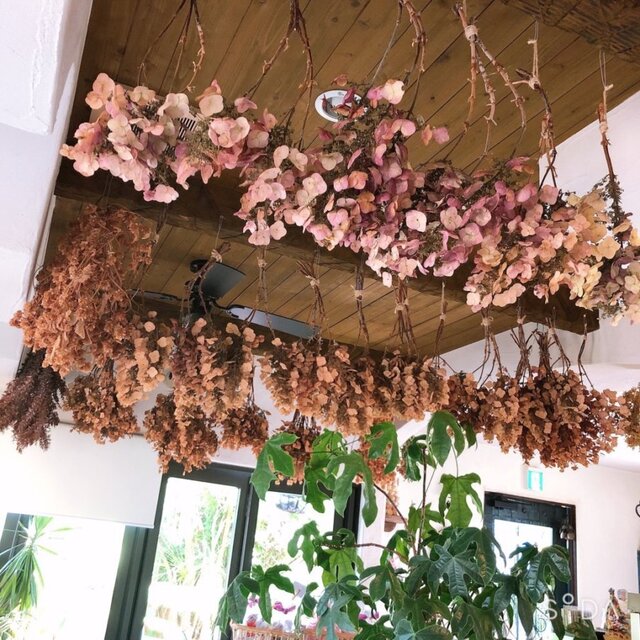 Ristorante Dolciore Finocchio photo 5