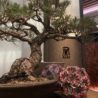 蔵 鉄板焼＆寿司 - 