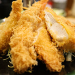 Tonkatsu Ikoma - 