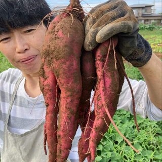 胡桃蔬菜“农林水产省公认蔬菜最高评价3星