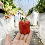 姫路ハートフル観光農園 - 