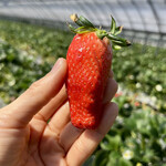 姫路ハートフル観光農園 - 