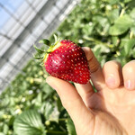 姫路ハートフル観光農園 - 