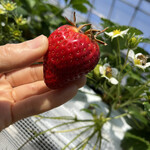 姫路ハートフル観光農園 - 