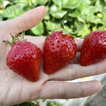 姫路ハートフル観光農園 - 