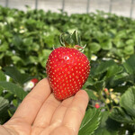 姫路ハートフル観光農園 - 