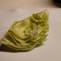 TACUBO - 淡路　黒田さんのレタス／バジリコ