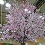 Ueno Yokochou - 上野駅中央改札外には、もう桜が咲いてました❀·°