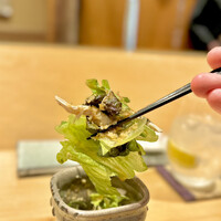 焼鳥 ひら野 - じゃこサラダ