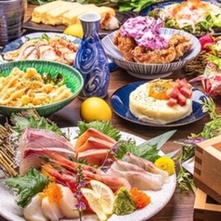 Colorful Seafood dishes!