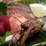 和食処 井がわ - 鮪・シマアジ・赤貝・シャコ・赤イカ