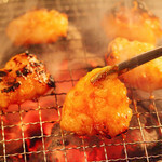 ホルモン焼道場 蔵 - 脂好きには堪らない！(極味ホルモン)