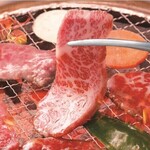 ホルモン焼道場 蔵 - 極上のA5ランクのお肉をその舌で！