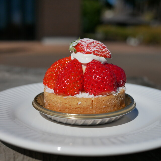 Ichiyajo Yoroizuka Farm, Odawara, Japan