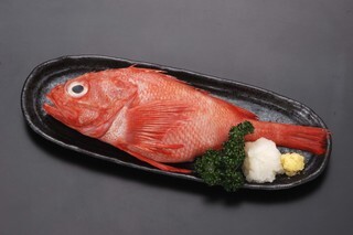 めいじ家大舟 - 旭川（居酒屋）の写真