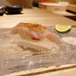 Sushi Takeuchi - 