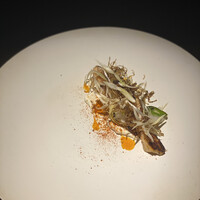 yokoyama -  yokoyama -